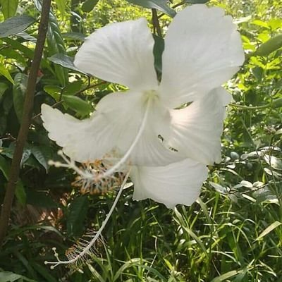 Ranjith76623588's profile picture. save water