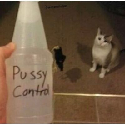 cat spray bottle meme template