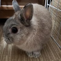 ひむひむ (@i3cjt0xdvwlwt8z) 's Twitter Profile