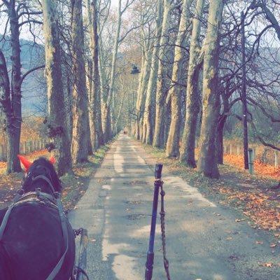 NouraNo19934047's profile picture. 