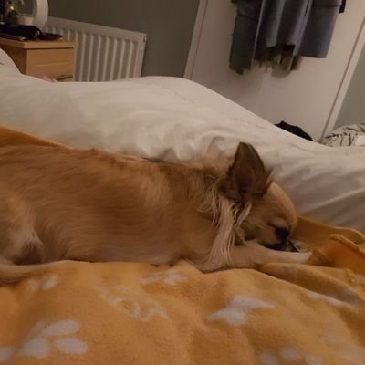 IonaTAY03353753's profile picture. I am bubbly fun loving girl from Northern Ireland who loves life and loves music, reading, dancing and singing and loves clothes and makeup