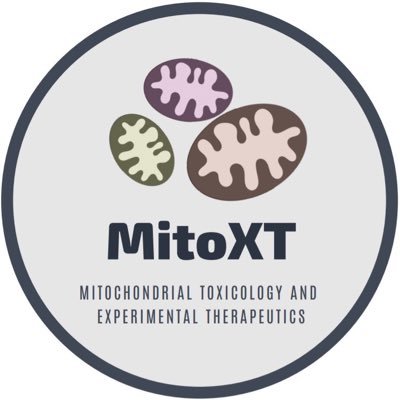 MitoXT