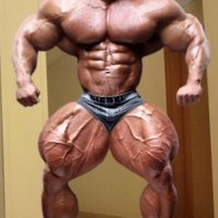 Neverbigmscl (@neverbigmscl) 's Twitter Profile