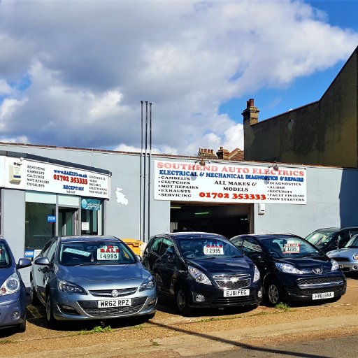 saeltd's profile picture. Steve Goose