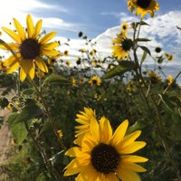 GIRCS Lab (@gircs1) 's Twitter Profile