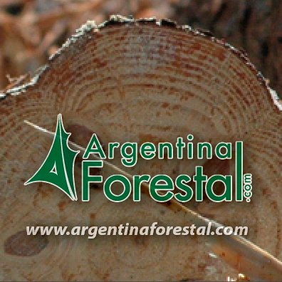 Argentina Forestal