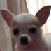 Antonio (@antonio29475291) Twitter profile photo Antonio (@antonio29475291) Twitter profile photo