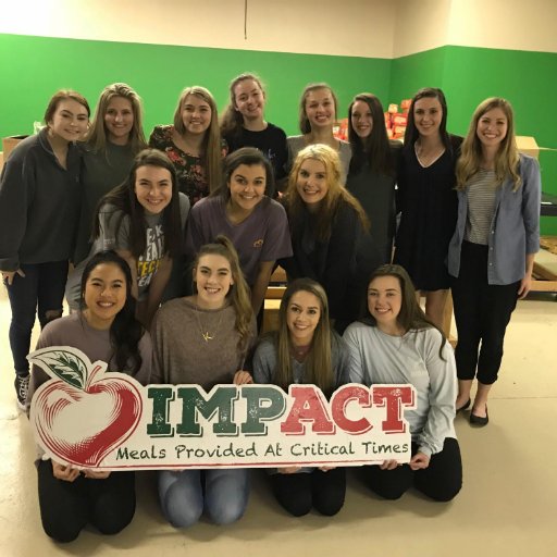 Impact Meals Project