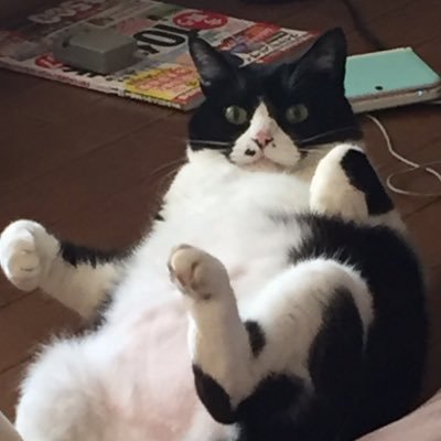 横浜BCをひっそり熱く応援します。佐賀バルーナーズもこっそり応援します。まごう事なき中年です。映画、音楽、マンガもたまに。子育て終了、やりたいことを自由にやっていきたいです。🐯箱