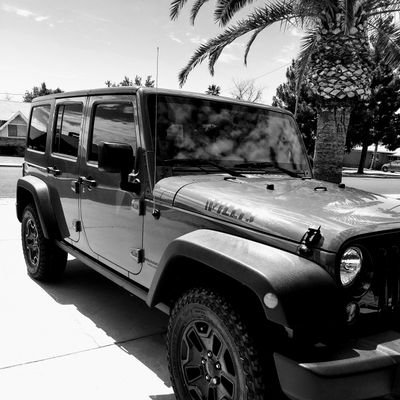 Jeep loving, dog loving, Arizona girl