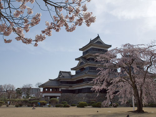 Tokyo_Blogs's profile picture. We bring you news and culture from Tokyo in Japan. If you have a  BLOG, please let me know. Enjoy BLOGS!!