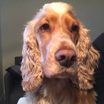 michell11220061's profile picture. 