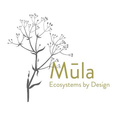 mula_by's profile picture. Site analysis-driven regenerative and ecological restoration planning and design services.