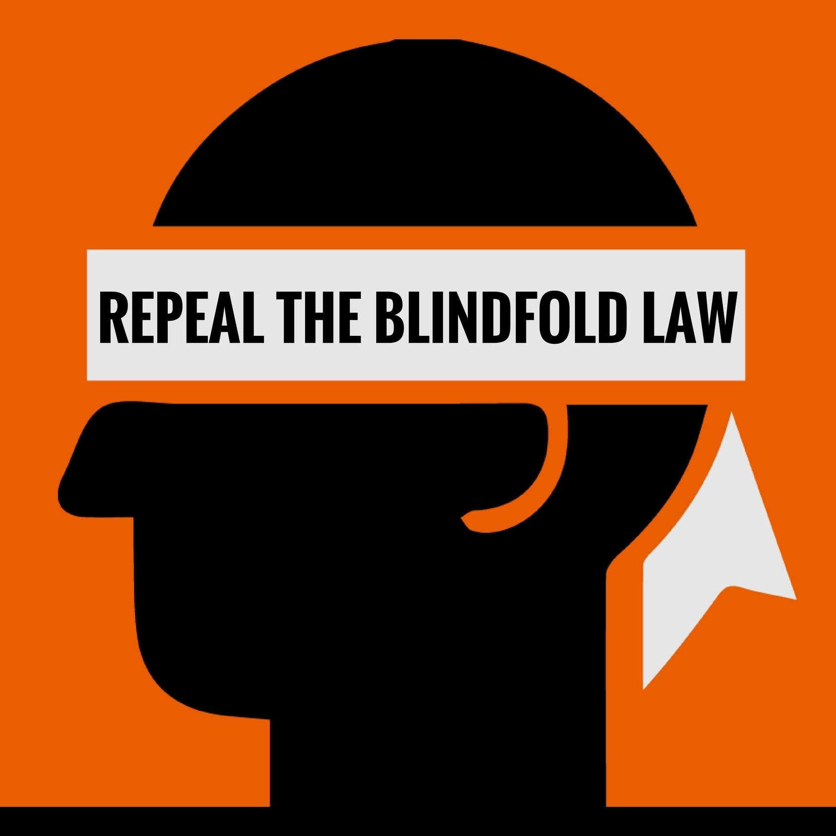 Fighting for comprehensive criminal discovery reform in NYS. Broad coalition including @innocence, @LegalAidNYC, @NYHTC, & @DistCouncil37. #RepealTheBlindfold