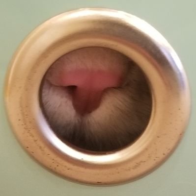 みんさんのプロフィール画像