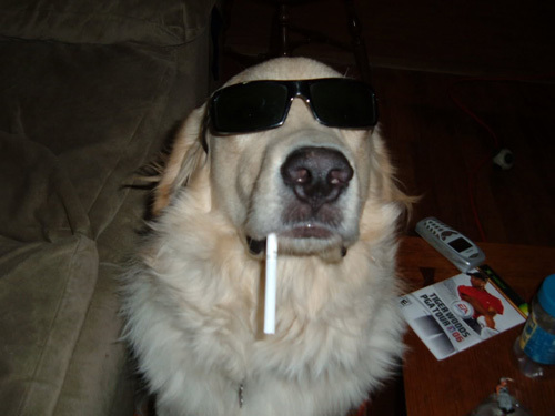 Bageera1041's profile picture. 