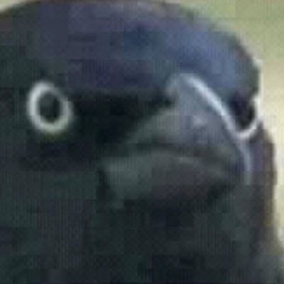 dono108760's profile picture. 