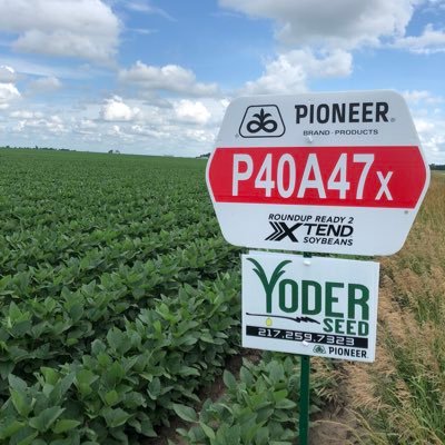 Byoder78's profile picture. Pioneer Independent Sales Rep