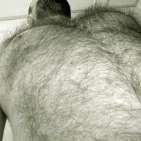 ursupetrus (@pedro_ledoux) 's Twitter Profile