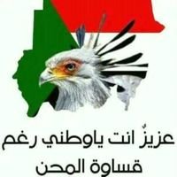 Mohamme19448312's profile picture. ‏الإصرار على التفاؤل قد يصنعُ ما كانَ مُستَحِيلًا.😊😊