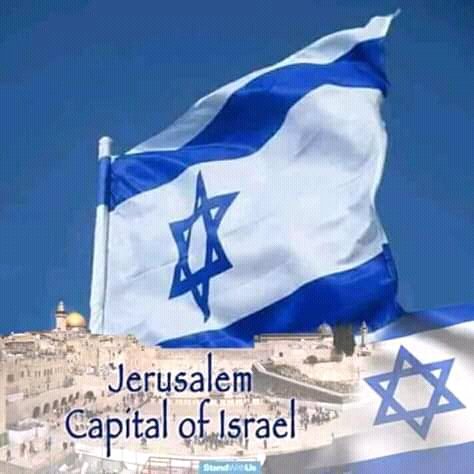 FreddyTambwe5's profile picture. 