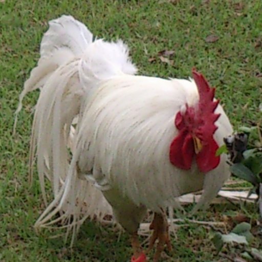 m_r_c_t_'s profile picture. 消毒しきれない汚物