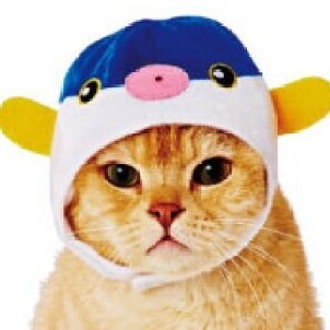 ふくねこ🐡🐈さんのプロフィール画像