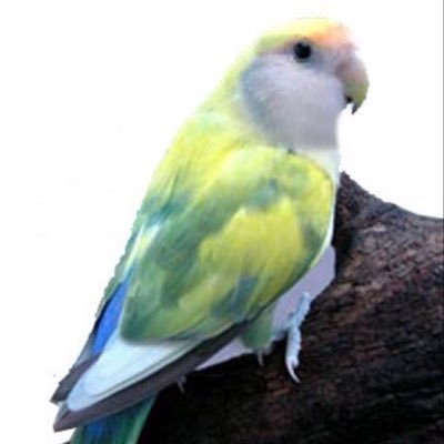 os6_9's profile picture. 