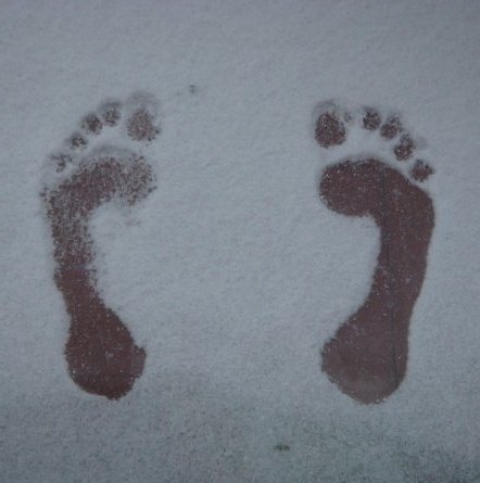 jonafierro's profile picture. 