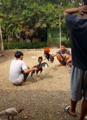 iam62864507's profile picture. 