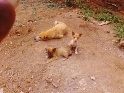 Gonde56214760's profile picture. Fat & thin