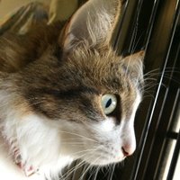 MARMOTTE_SARRY (@sarryzero) 's Twitter Profile