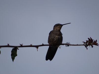 Sole50586868's profile picture. 