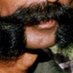 sandalwood kidnapper (@yomoneyoryowood) Twitter profile photo sandalwood kidnapper (@yomoneyoryowood) Twitter profile photo