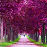 Карина Шарапова (@e9fttidhkkjmtum) 's Twitter Profile