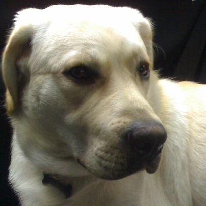 artabrum's profile picture. Curuñès. Esceptico frustrado.