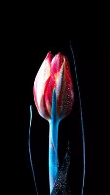 SarahNawaz4's profile picture. If you change nothing,
Nothing will change.