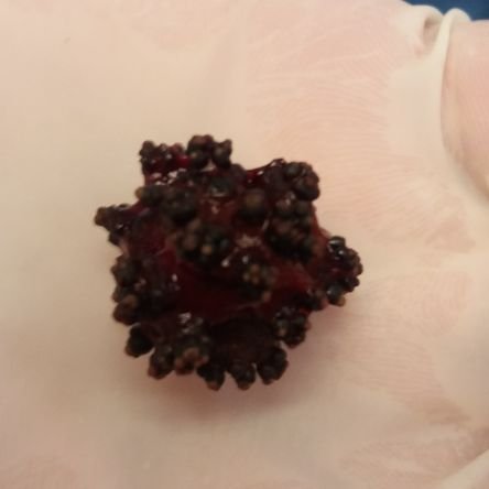 AlonsoRodas's profile picture. 