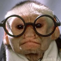 SirSuchBol (@suchsir) 's Twitter Profile