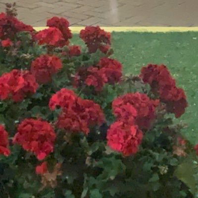 followyourthots's profile picture. 