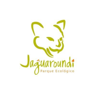 El Parque Ecológico Jaguaroundi te invita a visitar la selva tropical Veracruzana