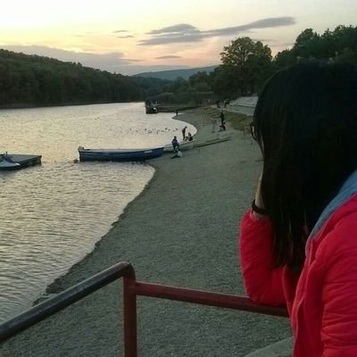 Srnche's profile picture. Capreolus capreolus  ♍