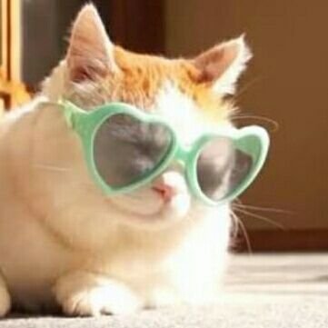 leomerit's profile picture. Conóceme en persona pero cuidado soy un poco bipolar aveces 😎😎😉