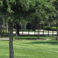 USF UFF Faculty Union (@uffusf) 's Twitter Profile