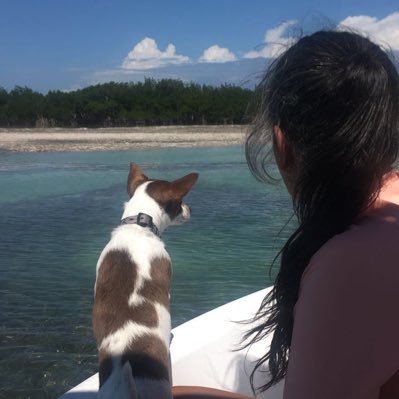 guaklaviano's profile picture. 