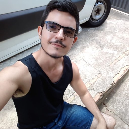 Tradutor, preparador e revisor de textos (inglês/português).
❤ Tradução | 📚 PT/EN/日本語