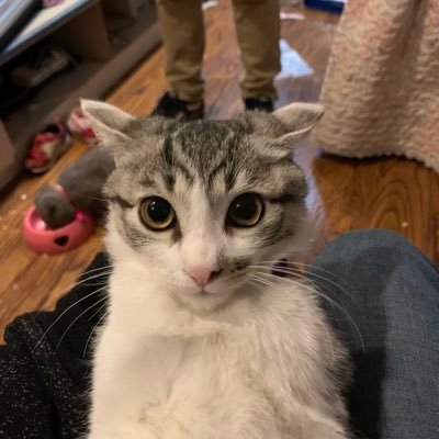 Mattz_0x7c4's profile picture. 做一个混世魔王，什么牵制我，我就舍弃什么。