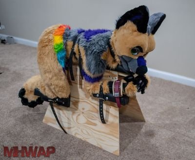 Seattle based fur and pup. am a space dog, murrsuiter, photographer, and kinkster. always down to have fun and hang out.