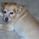 NANCY ALFONSO - @NALFONSO22 - Twitter