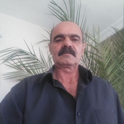 suat güler Profile